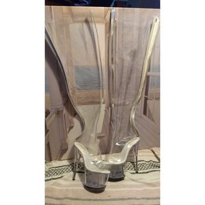 Pleasers clear knee-high